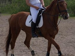 img-00372-535